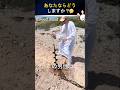 この男の人は庭で石油を見つけました！