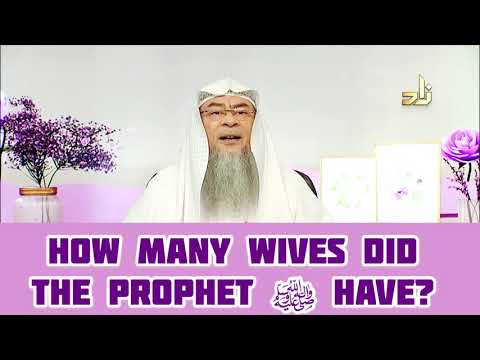 How Many Wives Did The Prophet Have - Assim Al Hakeem