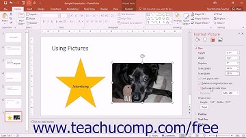 PowerPoint 2016 Tutorial Size & Properties Settings Microsoft Training