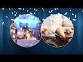Recognizing Greatness NACHA Payments System Awards 2016 Recognizing Greatness NACHA Payments System Awards 2016