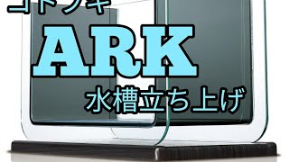 侘び草を使ってコトブキ『ARK』水槽立ち上げてみました。