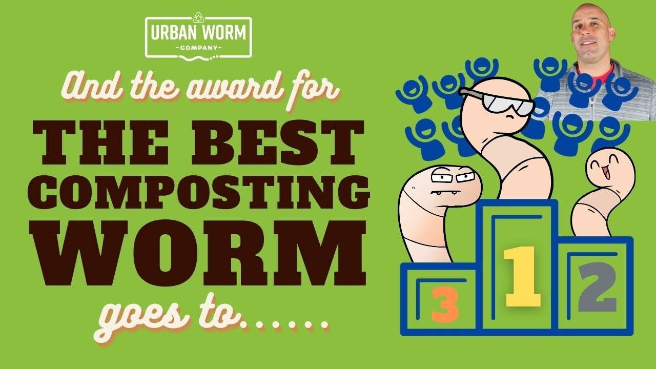 What'S The Best Composting Worm? Let'S Dig Deeper (Pun Intended!)