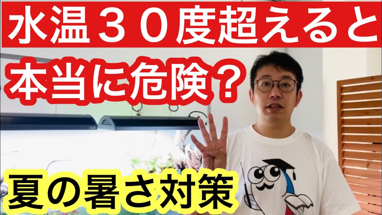 夏の水温管理 水槽用冷却ファン クーラーなど水温を下げる4つの方法 Youtube