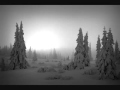 Gas - Zauberberg 7
