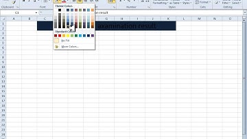 ms excel 2010 pashto learning part 9