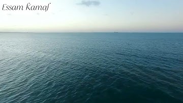 ( و أن ليس للإنسان إلا ما سعي ) إبداع الشيخ عبد الباسط عبد الصمد # تلاوات_قصيرة