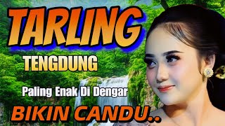 Download Lagu TARLING TENGDUNG_ LAGU PALING SANTAI ENAK DI DENGAR BIKIN CANDU __ BASS EMPUK SEKALI MP3 Download Lagu TARLING TENGDUNG_ LAGU PALING SANTAI ENAK DI DENGAR BIKIN CANDU __ BASS EMPUK SEKALI MP3