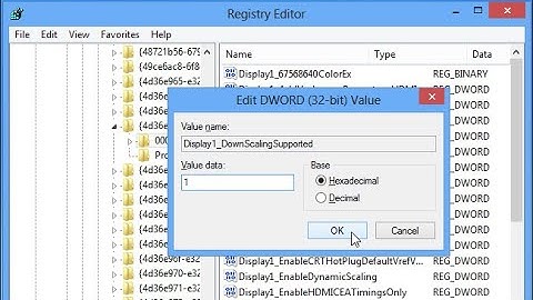 Fix "Display1_DownScalingSupported" not Available