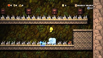 Spelunky Custom Levels w/ Level Editor 1