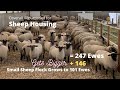 Sheep Housing for Expanding Flock Again!