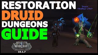 RESTORATION DRUID - GUIDE for M  (10.1.7 Dragonflight)