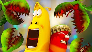 plants vs larva larva cartoons for kids wildbrain kids