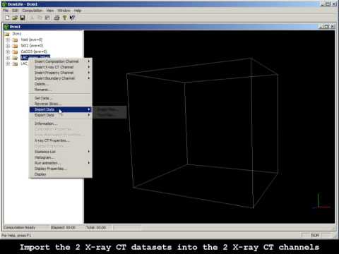 Video demo for DCM CIPS sandstone microstructure reconstruction