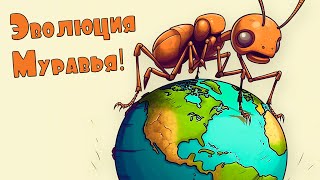 Муравей: Эволюция До Максимума! - Insect Evolution