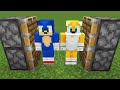 sonic + tails in minecraft = ???