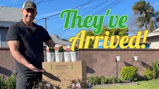 Our Creekside Nursery Order is Here! The 1st Annuals of the Season | Gardening with the Williamses