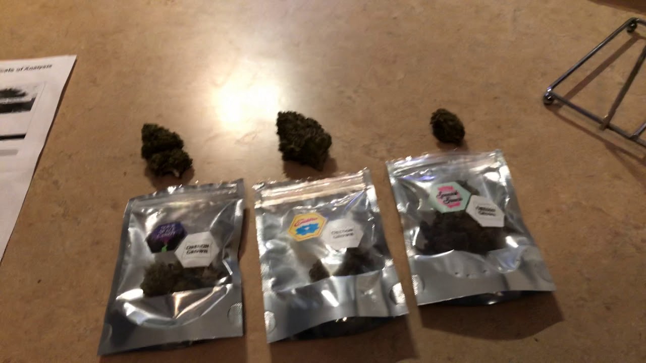 Cascadia blooms cbd hemp flower