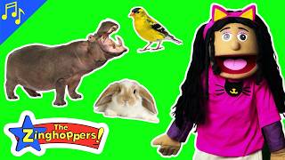 Hippo, Rabbit, Bird Dance! | Preschool Kids Brain Break Exercise Dance Song for Children!