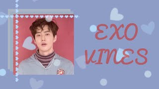 EXO vines that are funnier than Suho