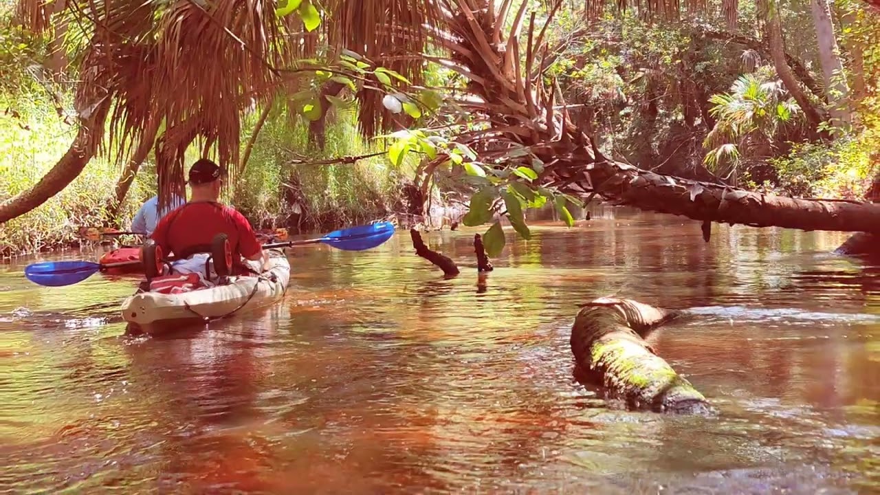 Shell Creek, Punta Gorda, FL. Southwest Florida Kayak / Paddleboard Adventure Group