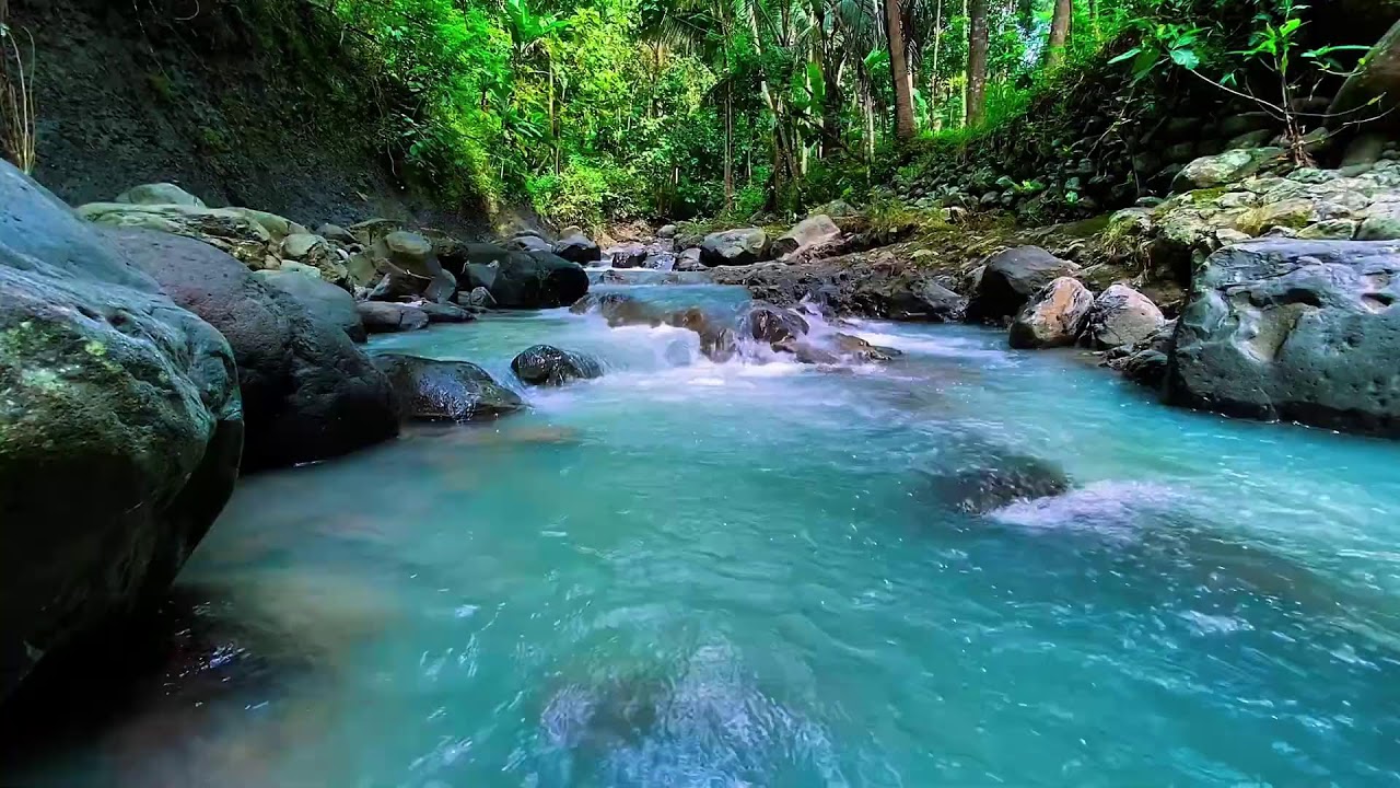 Mountain Stream Natural Water, Forest River Sounds, Sleeping