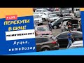 ПЕРЕКУПИ в ШОЦІ !!! #РОЗМИТНЕННЯ 2022 - не для ВСІХ !  7311 - КІНЕЦЬ