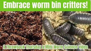 Embrace worm bin critters in your worm bins!