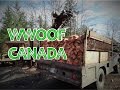 WWOOFING in Canada - WWOOF on Quadra island