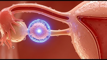 The Hidden Hormonal Patterns Behind Your Period