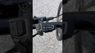 Why Not Buy An Electric Bike?