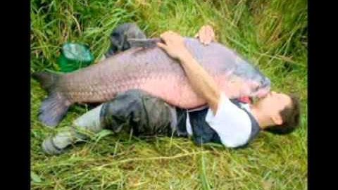 Devonian Period (Science_Exported)