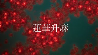 【機流音】蓮華升麻【オリジナル曲】