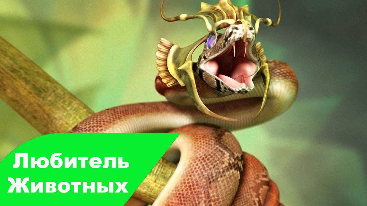 Опасные животные волги