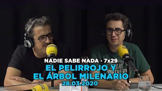 NADIE SABE NADA - (7x29): El pelirrojo y el árbol milenario