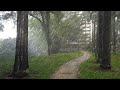 4K Rain Walk Around A Quiet Local Neighbourhood in Singapore (Telok Blangah Crescent)
