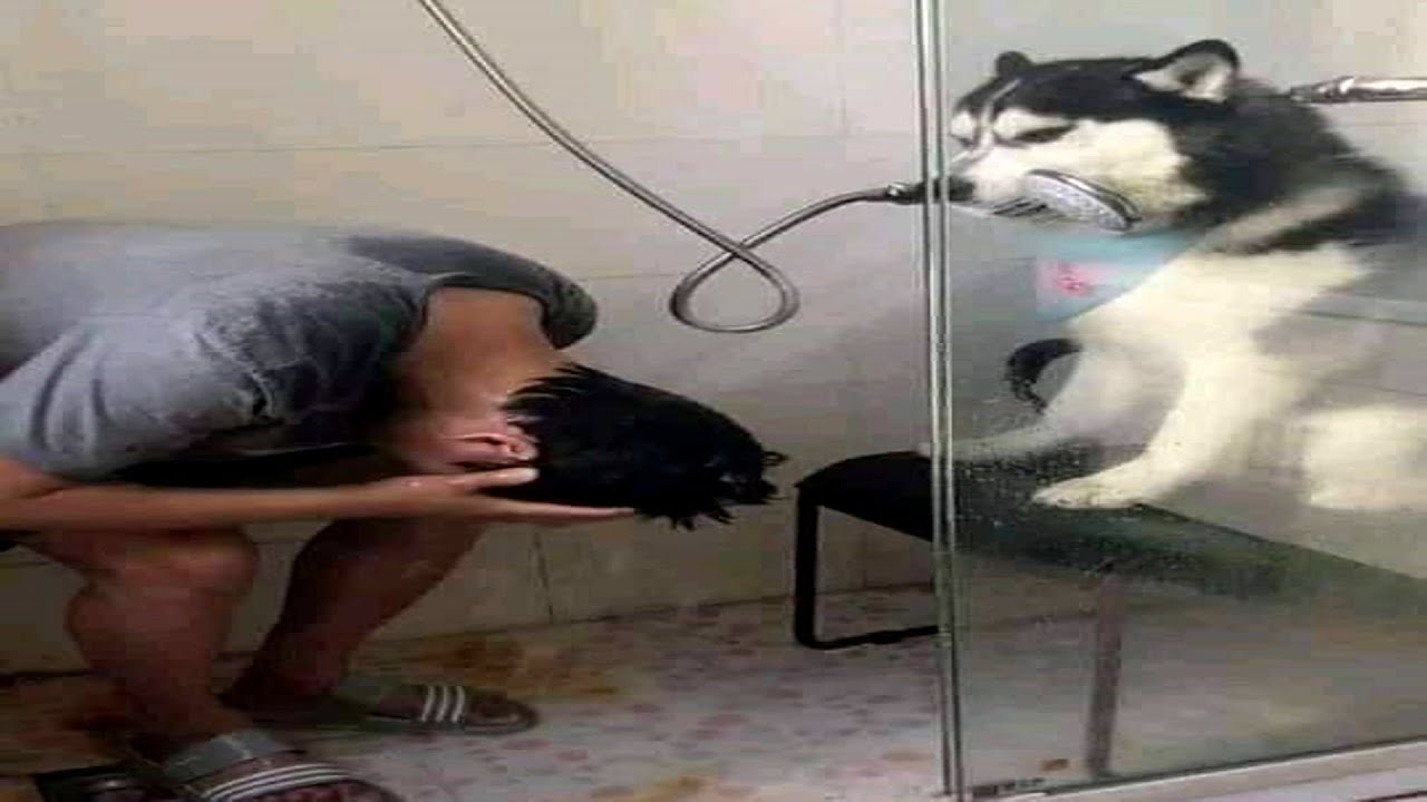 memes but they are actually memes