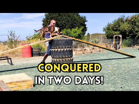 Overcoming Obstacles: Rea’s Incredible Progress in Just 2 Days!