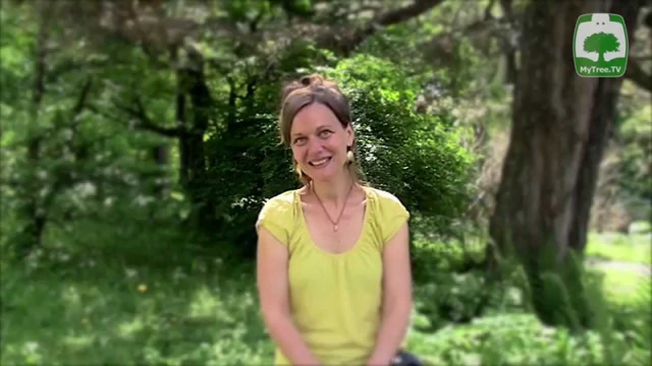 Interview with Nadja Stoller about her new album 