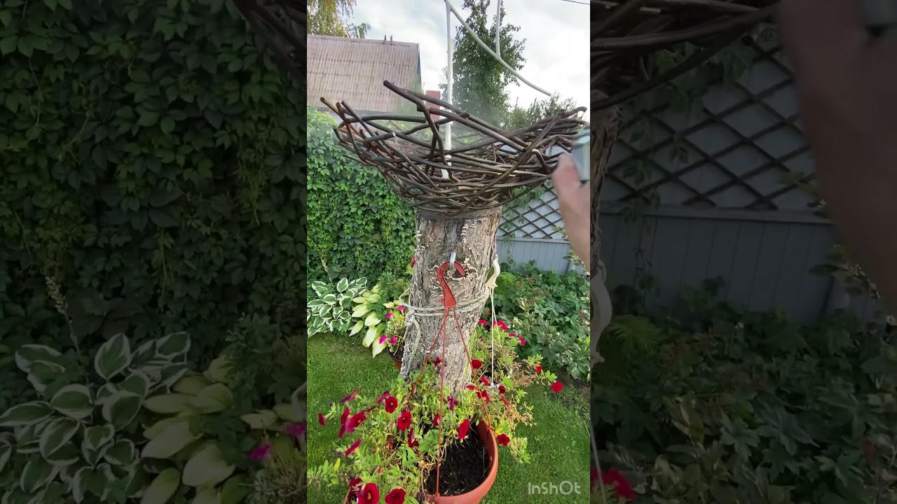 Аист и гнездо