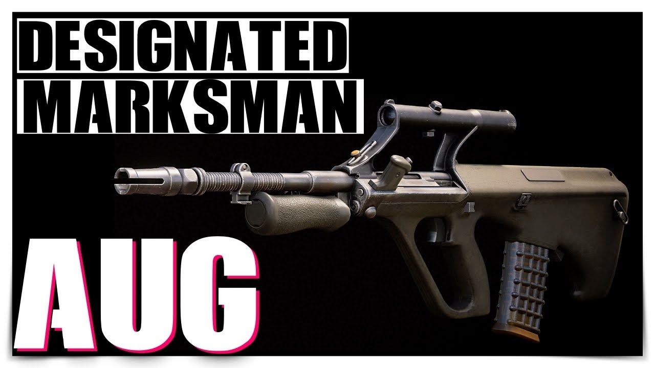 AUG: Best Class Set Up (DMR LOADOUT) | BLACK OPS COLD WAR |