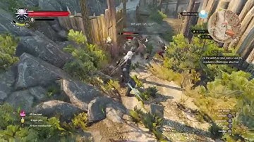 The Witcher 3  Wild Hunt DevilsPit glitch