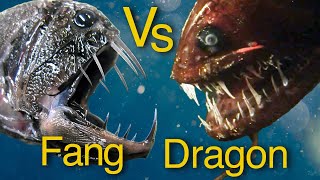 Dragonfish Vs Fangtooth - which is the most awesome predator of the deep?