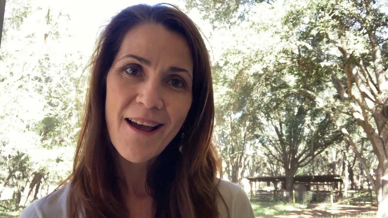 JennScents Scent Break - Patchouli & Spruce