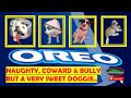 PET DOG-"OREO"- NAUGHTY, COWARD &amp; BULLY BUT  A VERY SWEET DOGGIE l CASERO VLOGZ