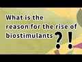 What are the reasons for the rise of biostimulants?