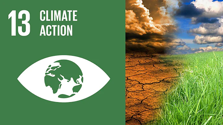 UN Sustainable Development Goals | Climate Action (13)