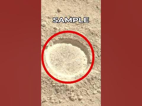 #Mars Rover #Perseverance SOL 881 | quicksolutions-data