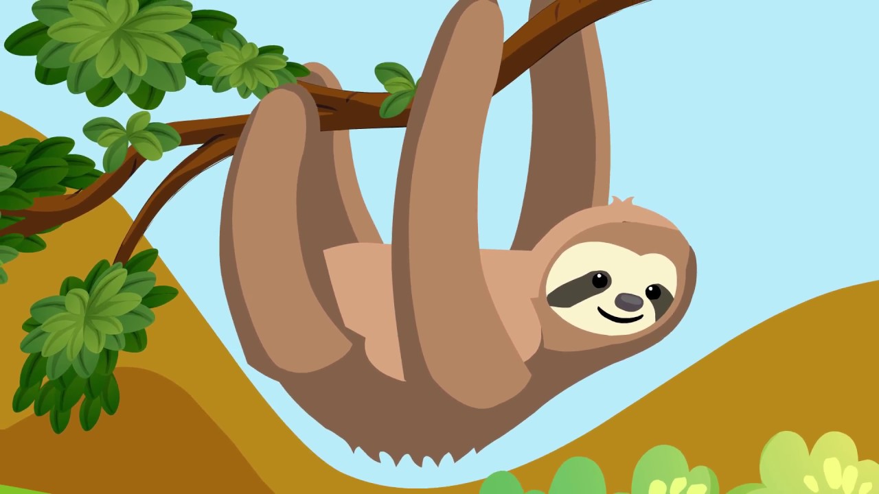 sloth, sloth facts, animals, sloth for kids, sloth animation, education, ed...