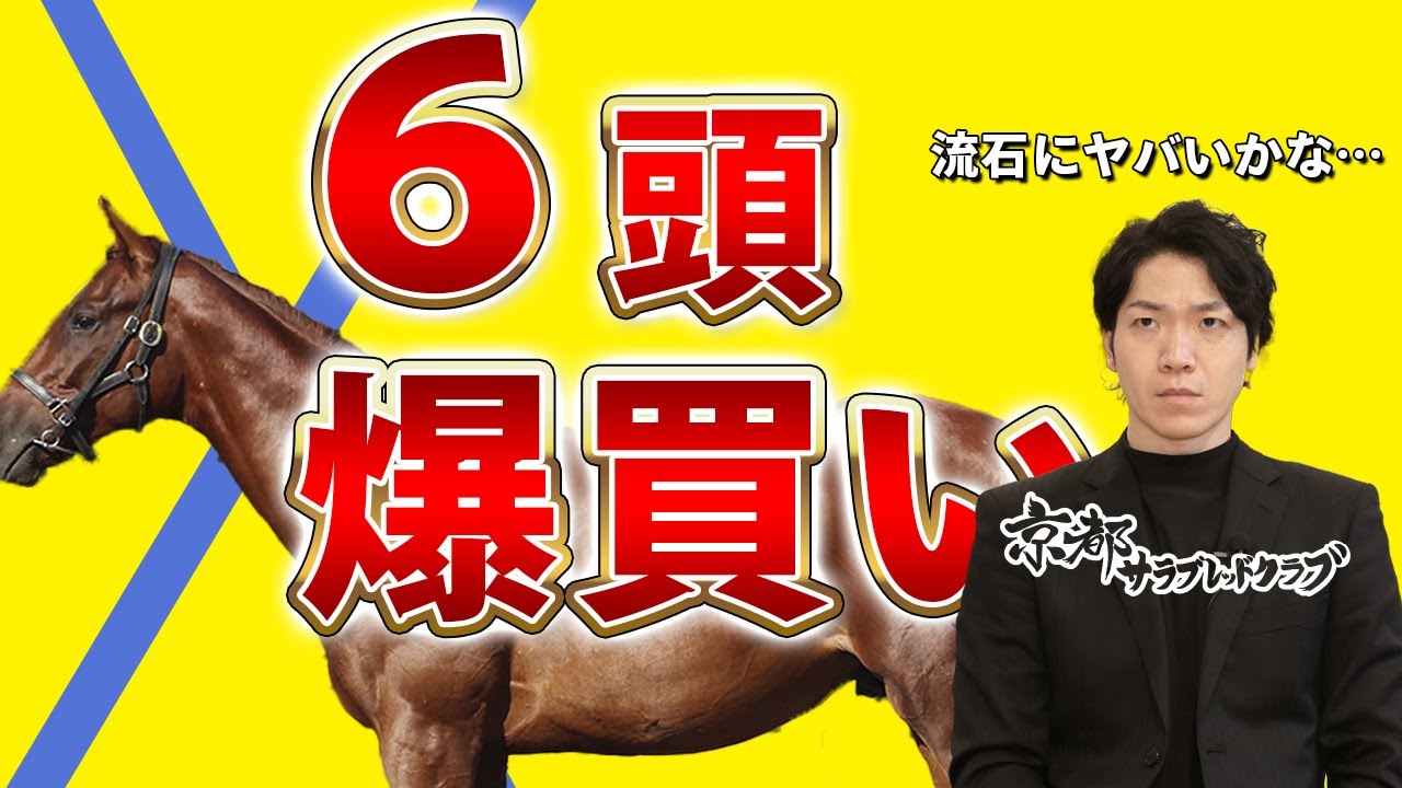 【一口馬主】京都サラブレッドで爆買い G1が先か破産が先か