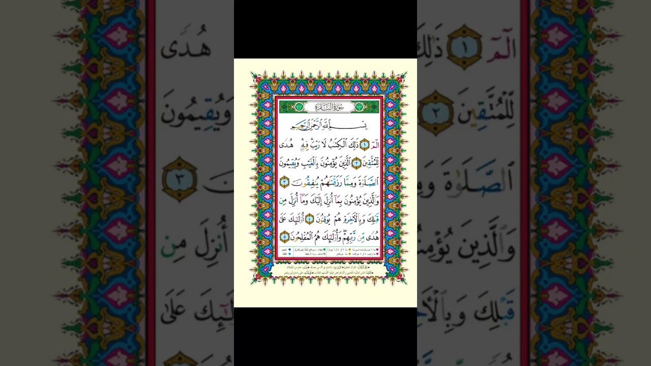 2026-01-23 زيد قفيشة